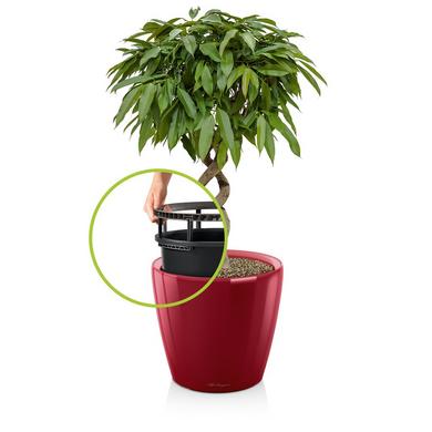 CLASSICO LS 28 scarlet red high-gloss